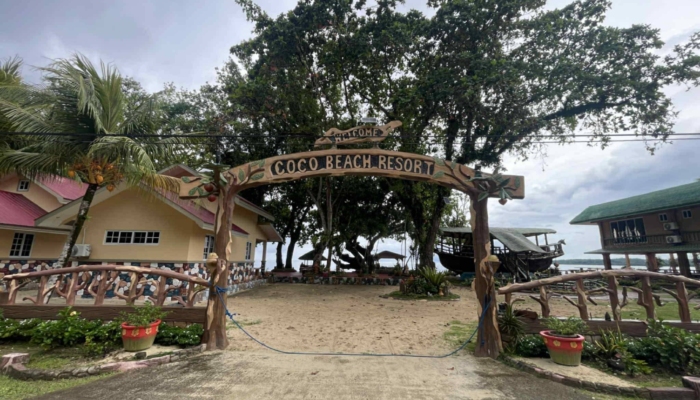 bdde436d-1815-4e8b-b578-cd3b9e427131